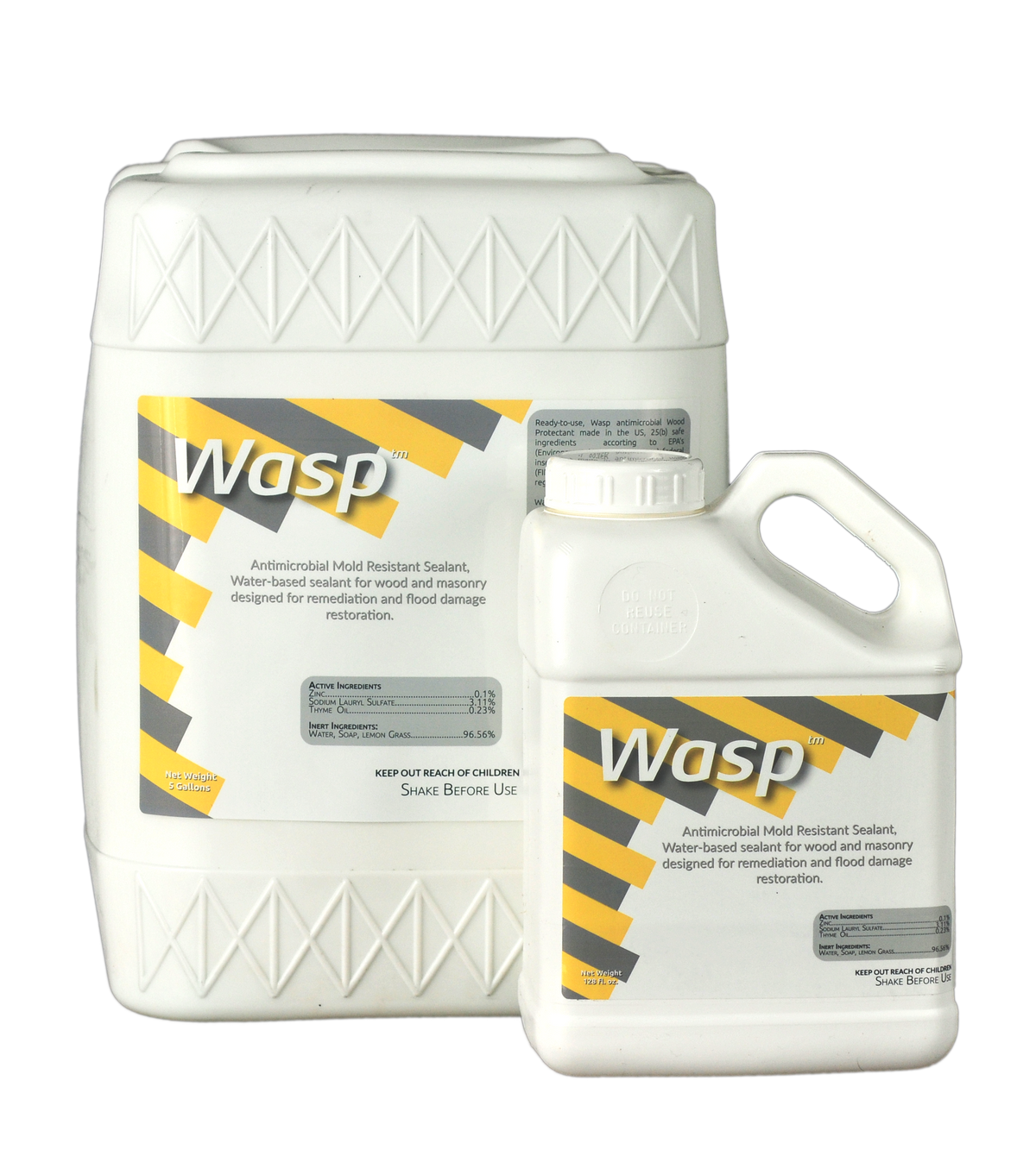 Wasp