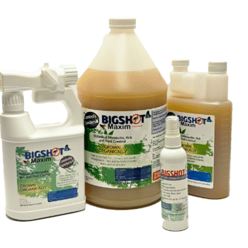Bigshot Maxim Concentrate